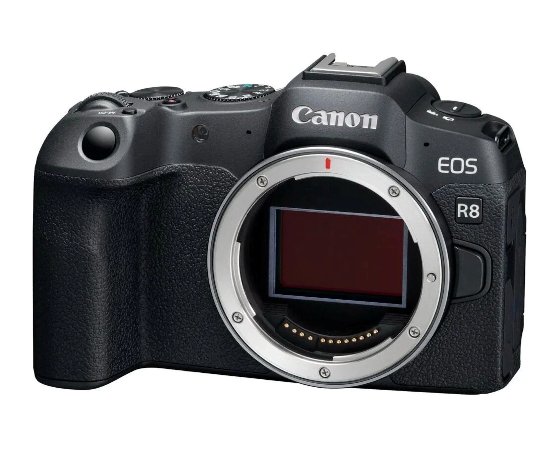 Canon EOS R8 atual, de linhas arredondadas