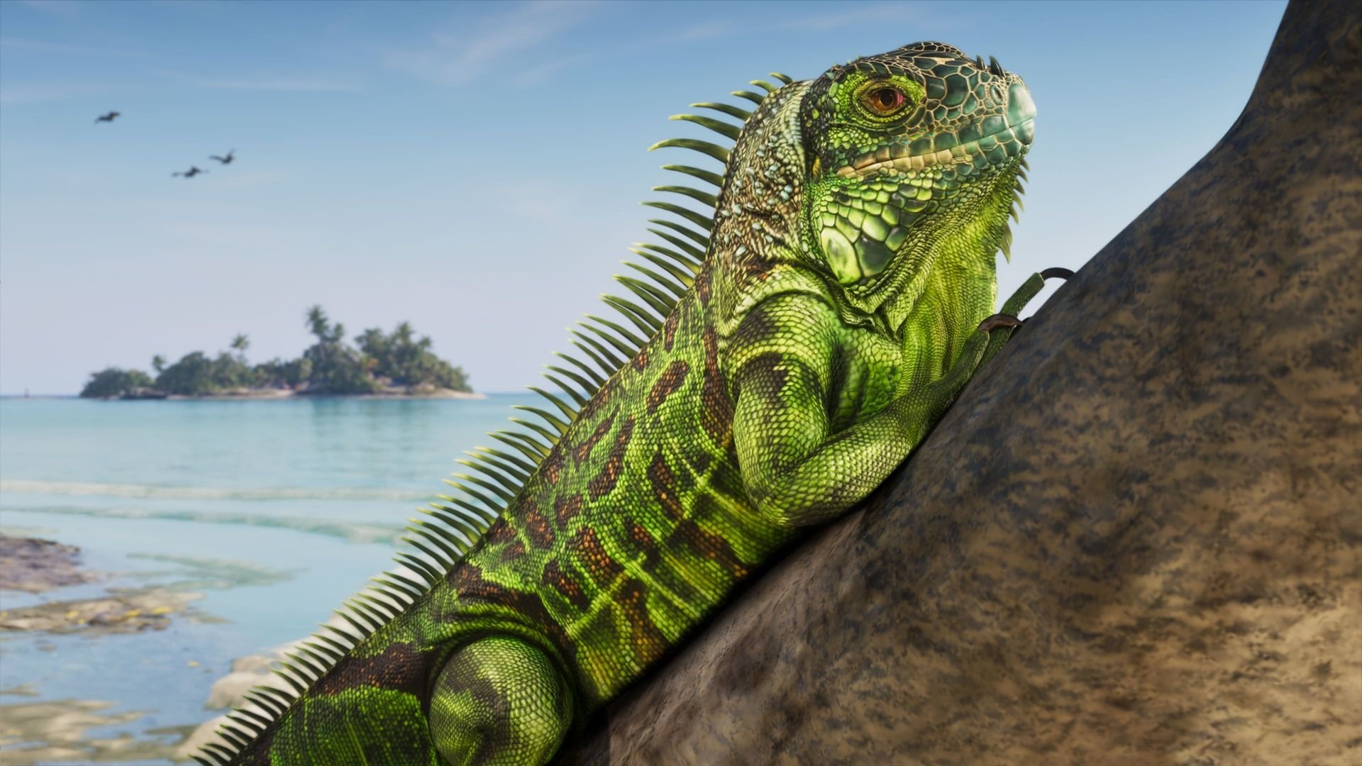 Iguana em uma praia de Leonida, parte da fauna que pode ser estudada em GTA 6