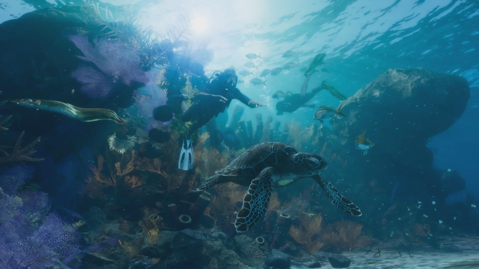 Mergulhador explorando um recife com tartaruga marinha e peixes no litoral de Leonida