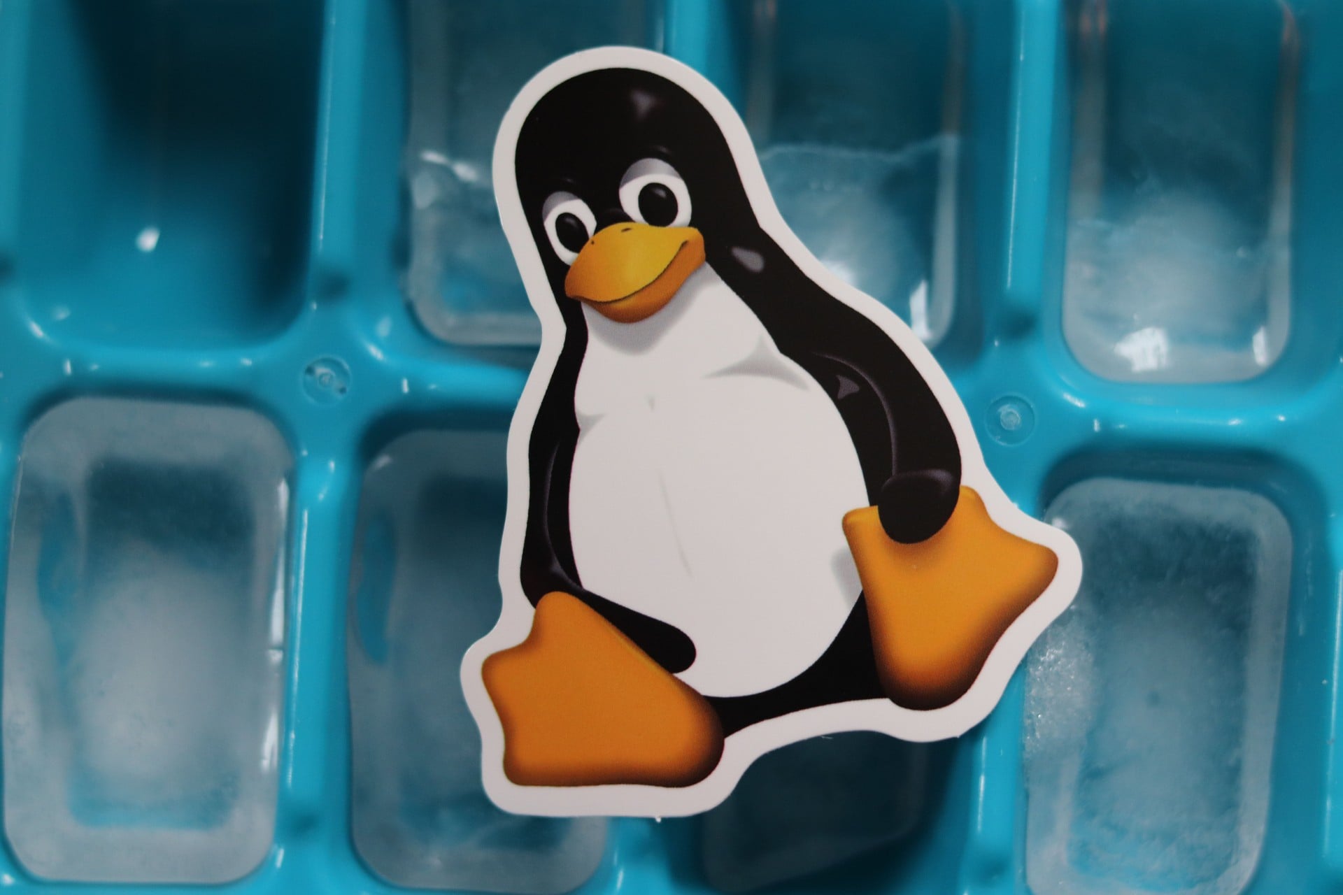 Linus Torvalds usa IA pela primeira vez para corrigir gargalo antigo do kernel Linux