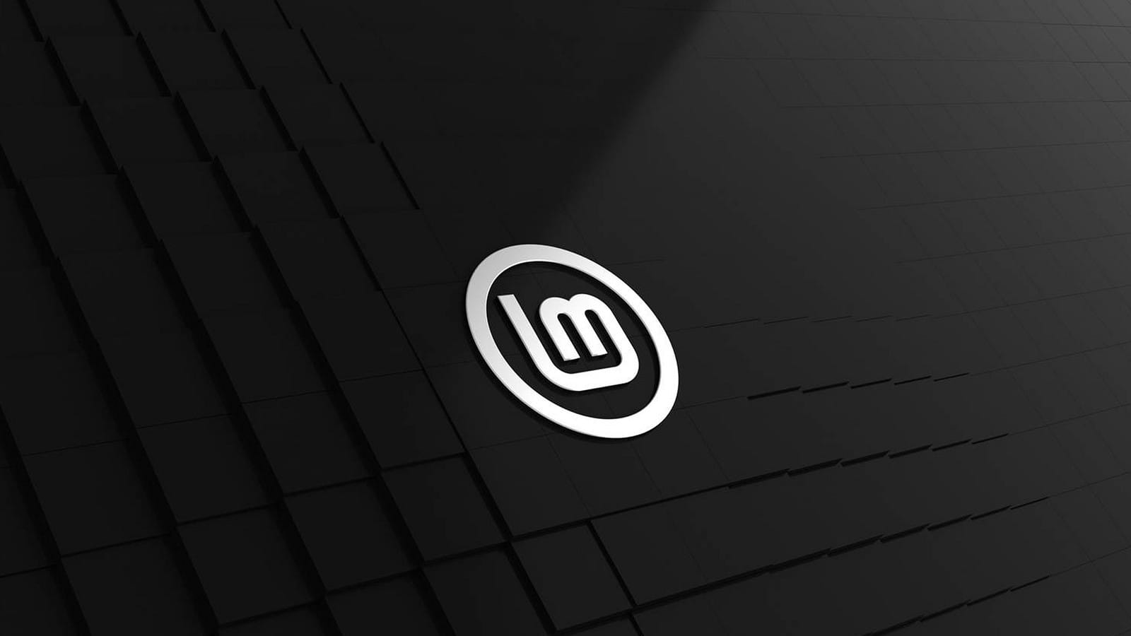 Linux Mint 23 ganha leitor de EPUB Xepub, calendário Clockenstein e Library reformulado