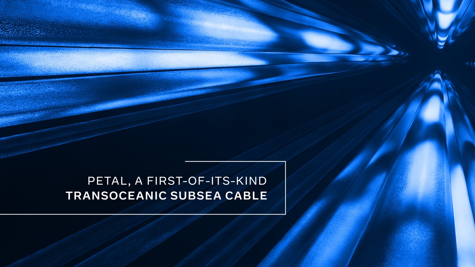 Meta anuncia Petal, primeiro cabo submarino transoceânico de 1 petabit por segundo