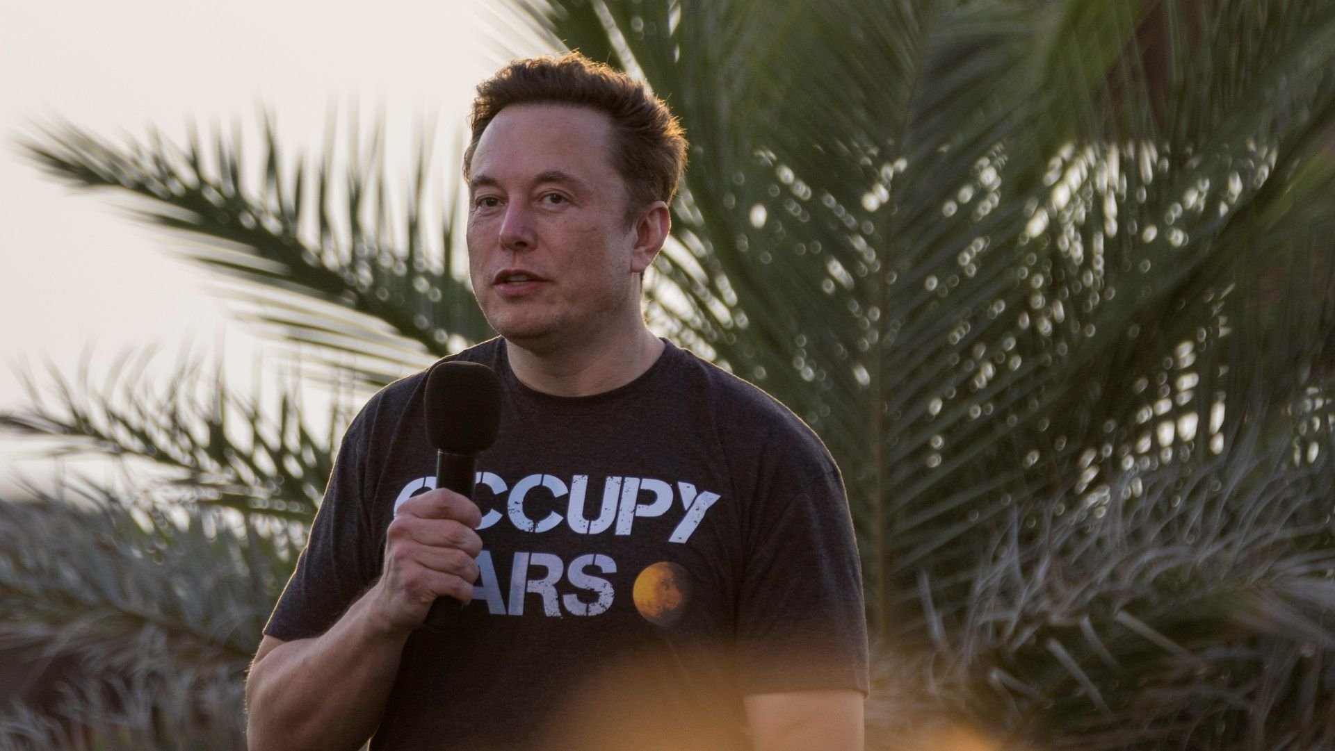 Musk admite que está atrás na corrida da IA e aponta a Anthropic como líder