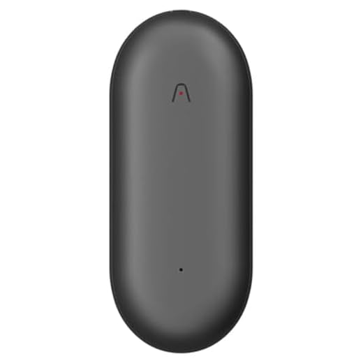 Plaud Note Pin