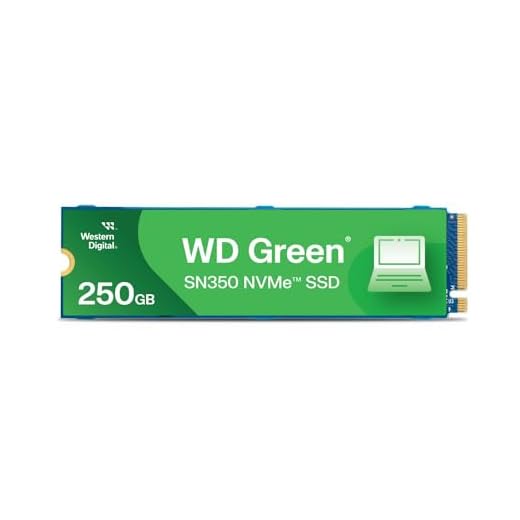 SSD WD Green PC SN350