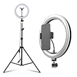 Melhor ring light: modelos mais recomendados para 2026