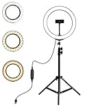 Ring Fill Light Point 18W