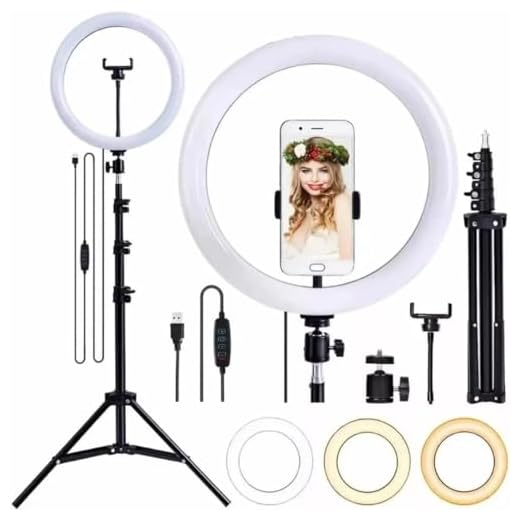 Flash Estudio Profissional