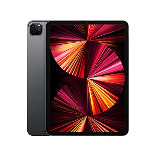 iPad Pro 11” (M2)