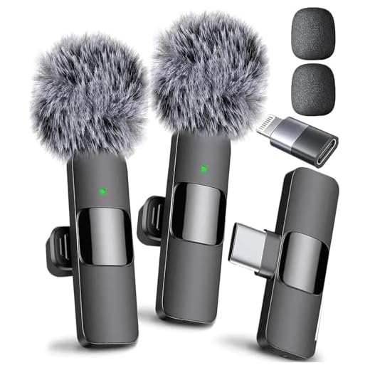 Mini Mic Pro